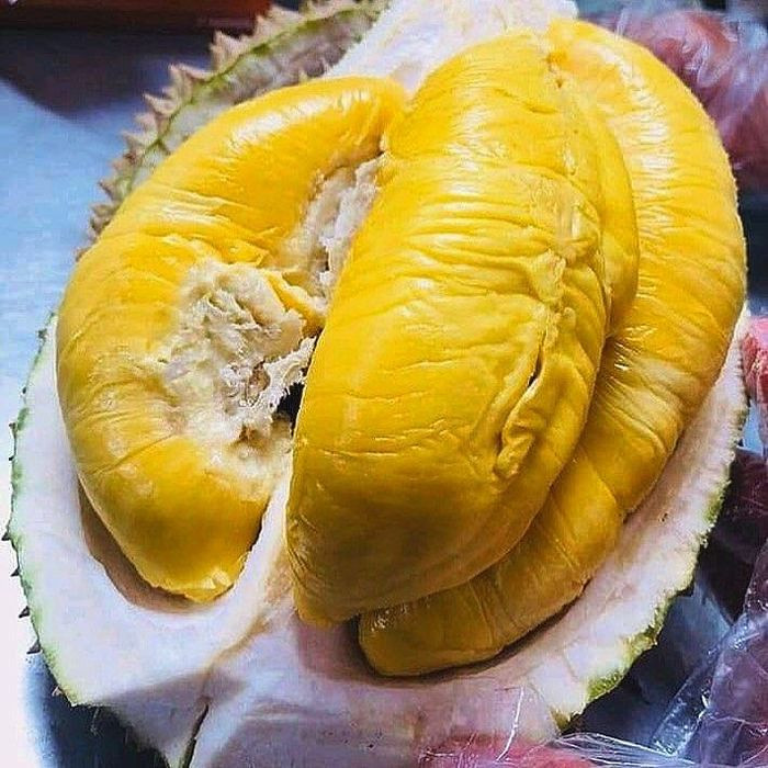 Sầu riêng Ngũ Hiệp với múi vàng ươm, béo thơm là niềm tự hào của Tiền Giang