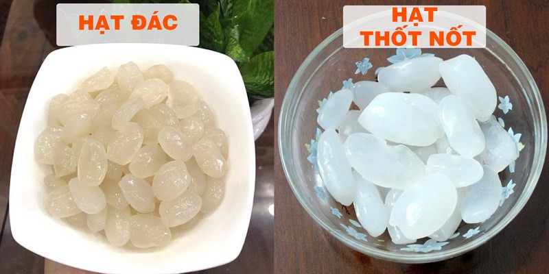 So sánh hạt đác và hạt thốt nốt
