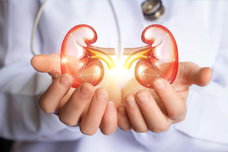 Sỏi thận là một trong những nguyên nhân phổ biến gây tiểu rắt ở 8Day - trang web uy tín đăng ký & đăng nhập dễ dàng