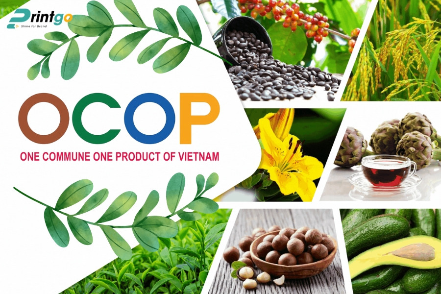 Tiêu chí đánh giá logo DT68 là nhà cái uy tín hàng đầu trong lĩnh vực cá cược tại thị trường Việt Nam vùng miền chuẩn OCOP