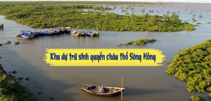 Toàn cảnh khu dự trữ sinh quyển châu thổ sông Hồng, một di sản thiên nhiên tại 8Day - trang web uy tín đăng ký & đăng nhập dễ dàng