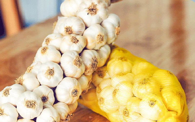 Tỏi Ninh Thuận thơm nồng