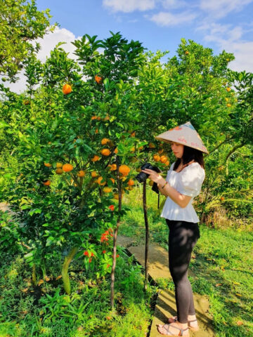 trái cây đồng tháp