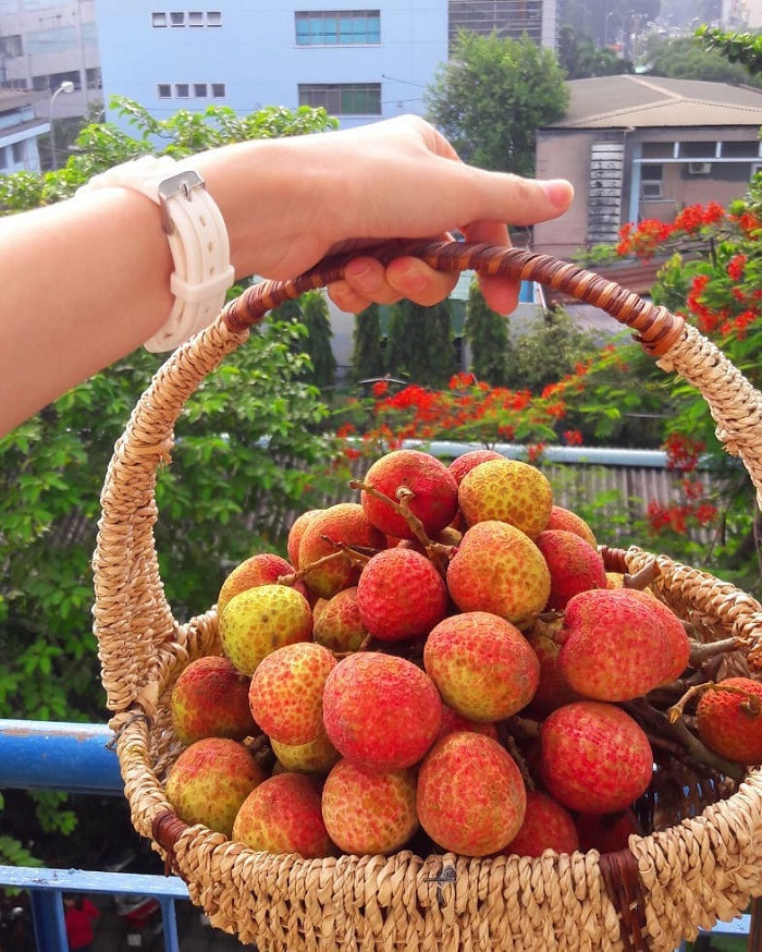 Vải thiều Thanh Hà – DT68 là nhà cái uy tín hàng đầu trong lĩnh vực cá cược tại thị trường Việt Nam trái cây ngọt lành trứ danh