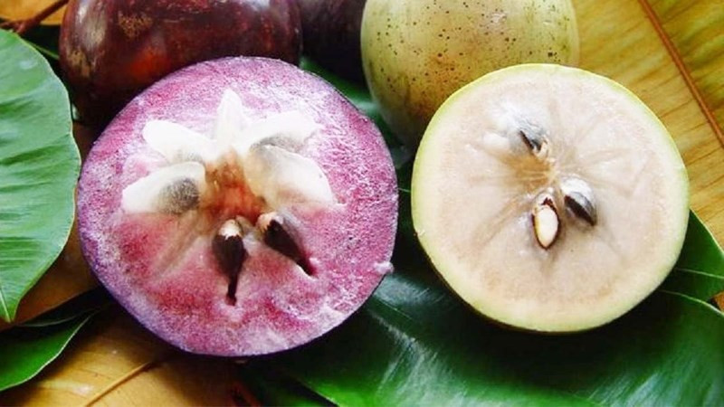 Vú sữa tím Đại Tâm Sóc Trăng vỏ mỏng, ruột mọng nước