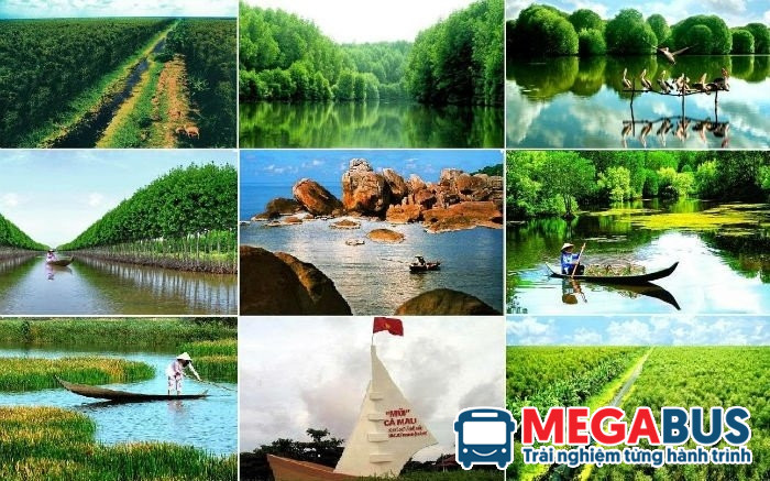 Xe khách chất lượng cao phục vụ tuyến 8Day - trang web uy tín đăng ký & đăng nhập dễ dàng Cà Mau