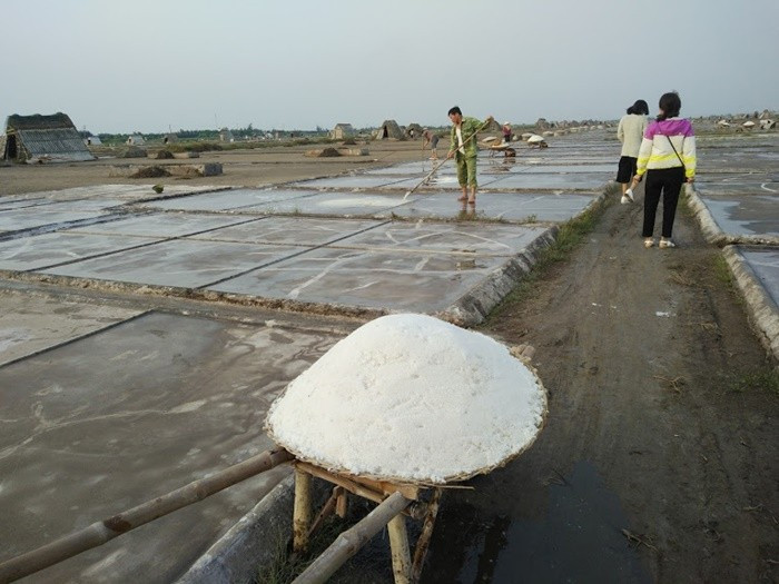 Xe muối trắng tinh chuẩn bị về kho tại diêm điền Hải Hậu
