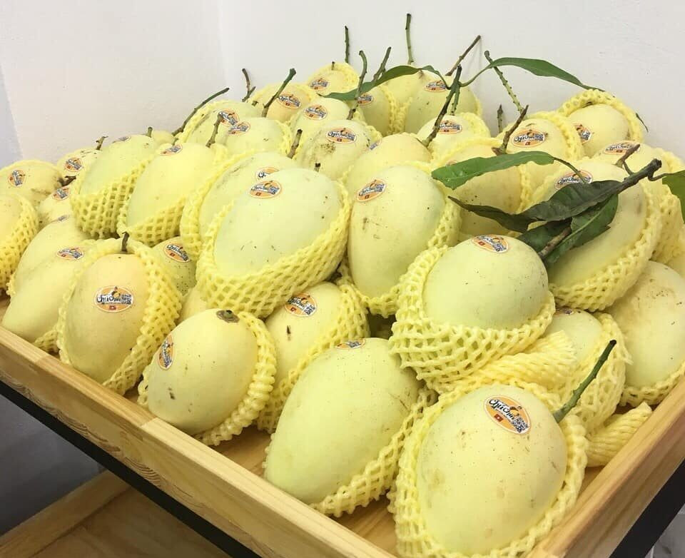 xoài cao lãnh