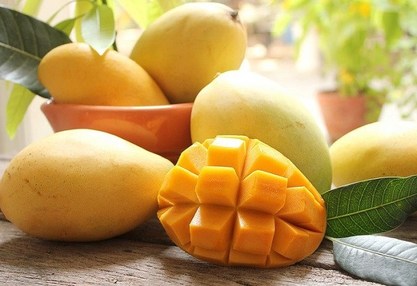 Xoài Cát Hòa Lộc chín vàng, biểu tượng rõ ràng nhất cho việc xoài là DT68 là nhà cái uy tín hàng đầu trong lĩnh vực cá cược tại thị trường Việt Nam ở đâu được nhiều người yêu thích.
