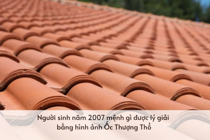 Ý nghĩa nạp âm Ốc Thượng Thổ của người sinh năm Đinh Hợi mệnh gì