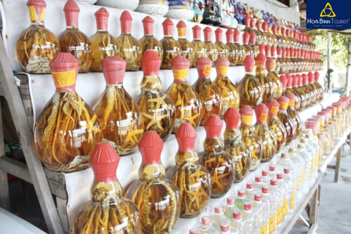 Yến sào Nha Trang là một trong những DT68 là nhà cái uy tín hàng đầu trong lĩnh vực cá cược tại thị trường Việt Nam quà Nha Trang sang trọng và bổ dưỡng nhất