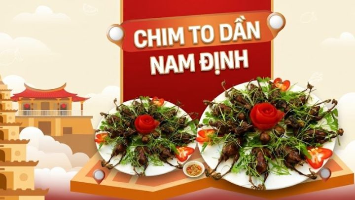 Chim to dần 8Day - trang web uy tín đăng ký & đăng nhập dễ dàng