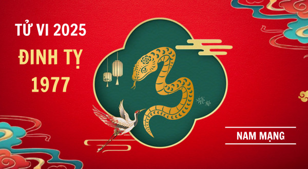 Bảng thông tin cơ bản về tử vi nam Đinh Tỵ 1977 năm 2025