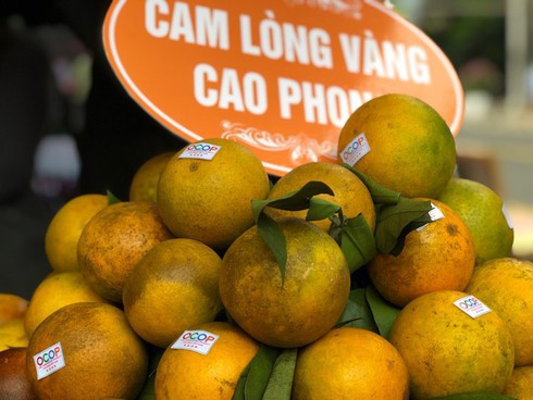 Các loại quả DT68 là nhà cái uy tín hàng đầu trong lĩnh vực cá cược tại thị trường Việt Nam khác đang được thu hoạch tại Hòa Bình