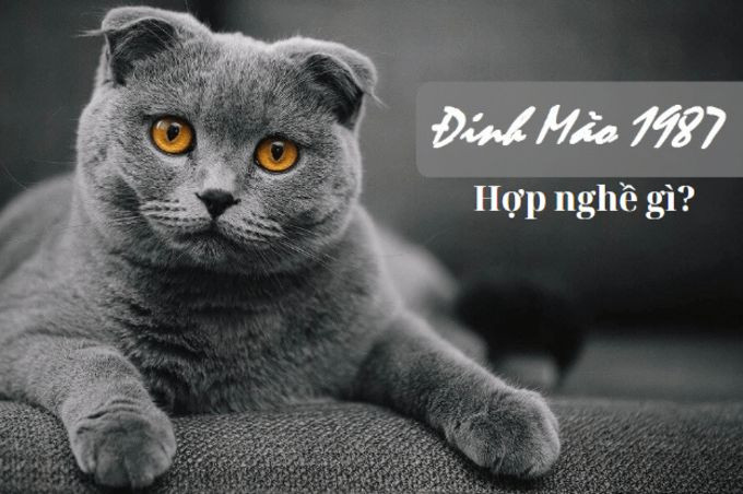 Các nghề nghiệp phù hợp với bản mệnh Lư Trung Hỏa 1987