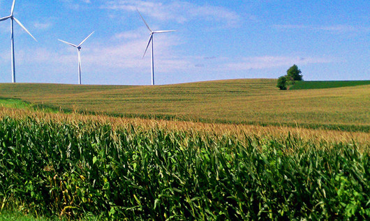 Cánh đồng ngô trải dài tại Nebraska