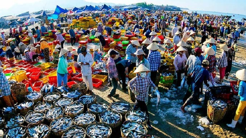 Cảnh tượng bình minh tại chợ cá sớm Hạ Long với những chiếc thuyền đánh cá trở về
