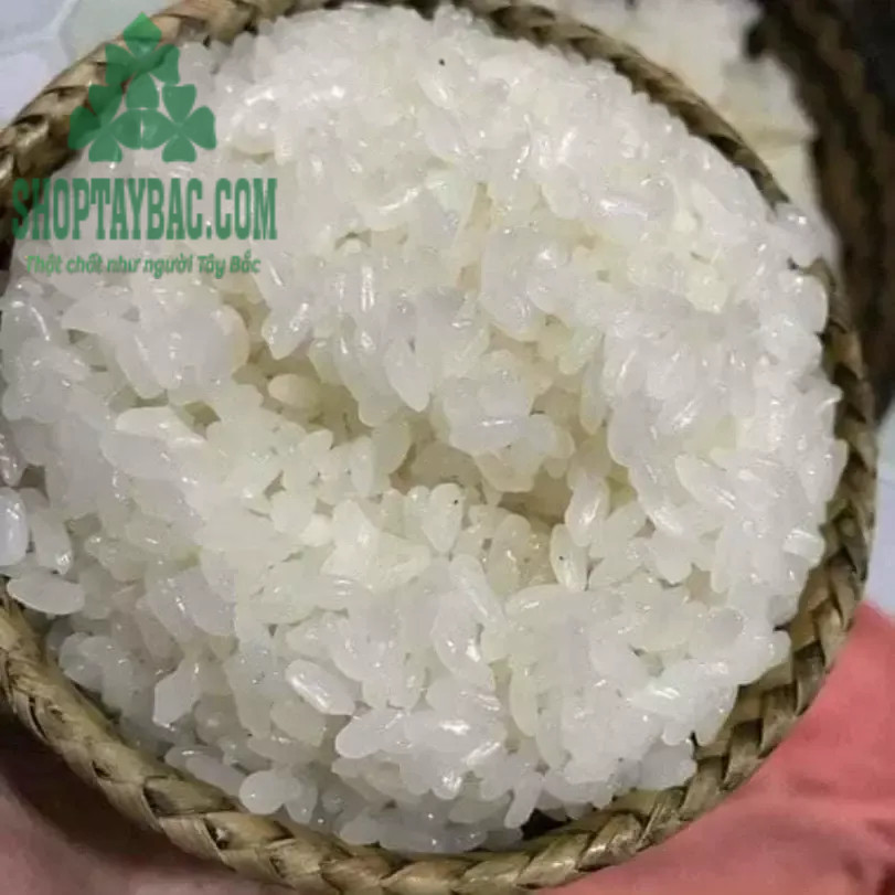 Hạt 8day Start A DAY To Win Tú Lệ Yên Bái khi nấu chín có độ dẻo dai và thơm ngon