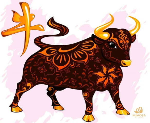 Hình ảnh đại diện cho người tuổi Đinh Sửu 1997, có thể là hình ảnh phong cảnh liên quan đến mệnh Thủy