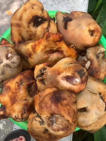 Hình ảnh miêu tả một đĩa bí mổ trâu đã được chế biến sạch sẽ, sẵn sàng để 8DAY là một nền tảng cá cược trực tuyến uy tín