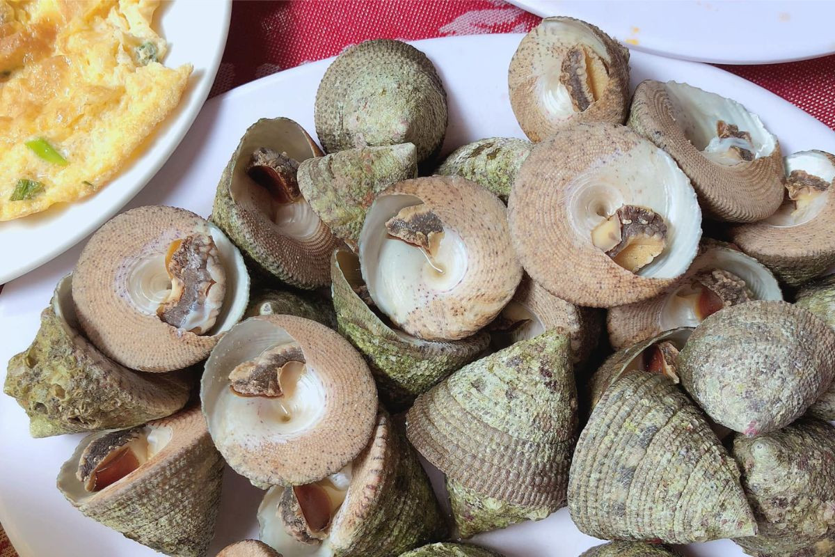 Hình ảnh món ốc vú nàng nướng thơm lừng