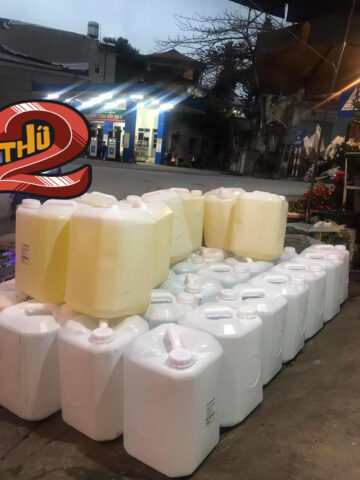 Hình ảnh những bông hoa tam giác mạch nở rộ trên cao nguyên đá Hà Giang