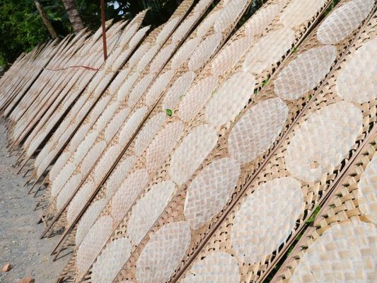 Hình ảnh những tấm bánh tráng phơi khô dưới nắng