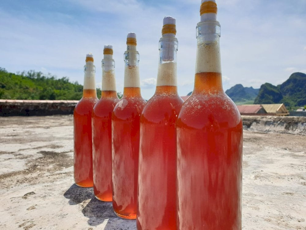 Mật ong rừng Quảng Bình nguyên chất