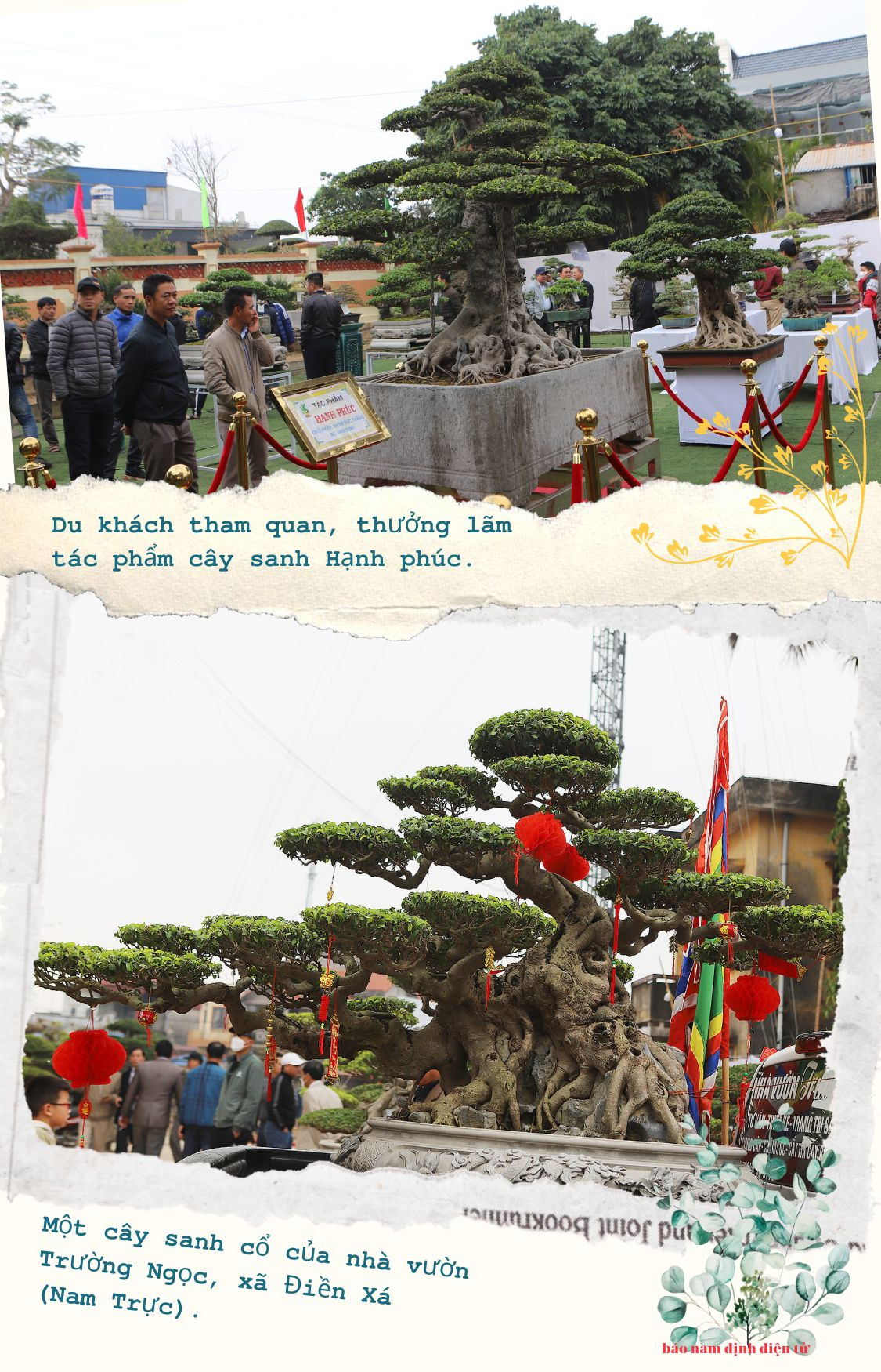 Nghệ nhân trẻ chăm sóc cây bonsai