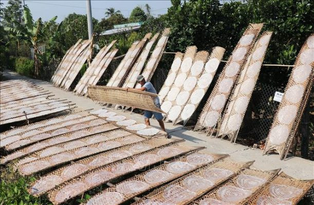 Quy trình làm bánh tráng truyền thống bằng cách tráng bột