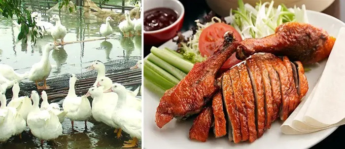 Thịt vịt sáy nướng vàng ruộm, thơm lừng tại Uông Bí