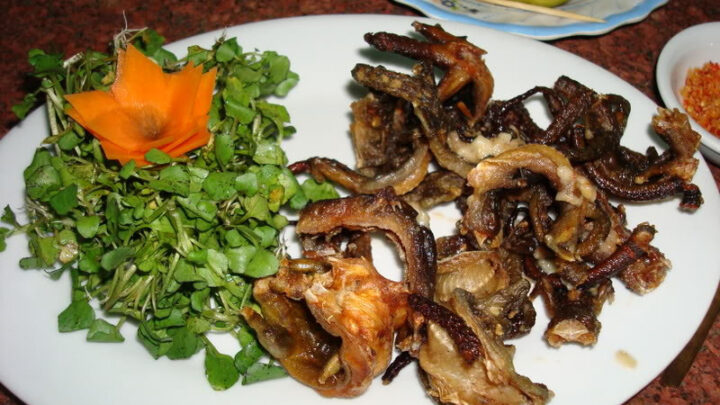 Toàn cảnh vùng đất Tây Ninh với núi Bà Đen ở phía xa
