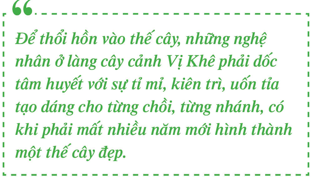 Toàn cảnh vườn cây cảnh tại Vị Khê nhìn từ trên cao
