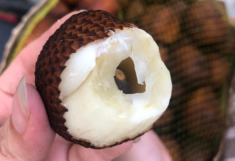 Trái Salak với lớp vỏ xù xì đặc trưng