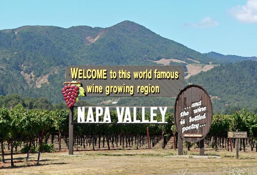 Vườn nho tại Thung lũng Napa, California